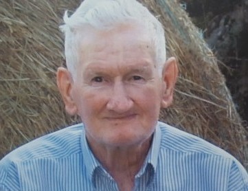 Bob Collins
